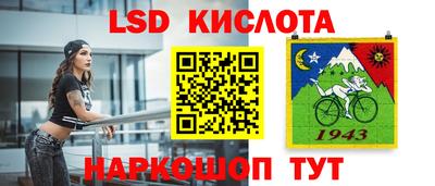 шишки Надым