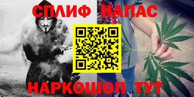 стафф Новоалтайск