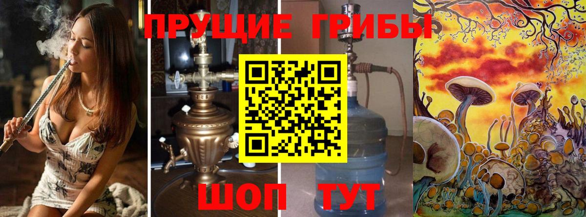 Ейск  Галлюциногенные грибы Magic Shrooms  Вход с VPN  Псилоцибиновые грибы GOLDEN TEACHER 