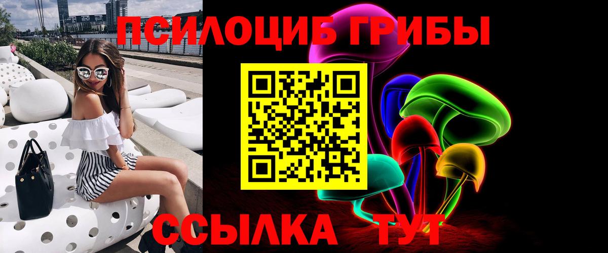 Галлюциногенные грибы Psilocybe Ейск