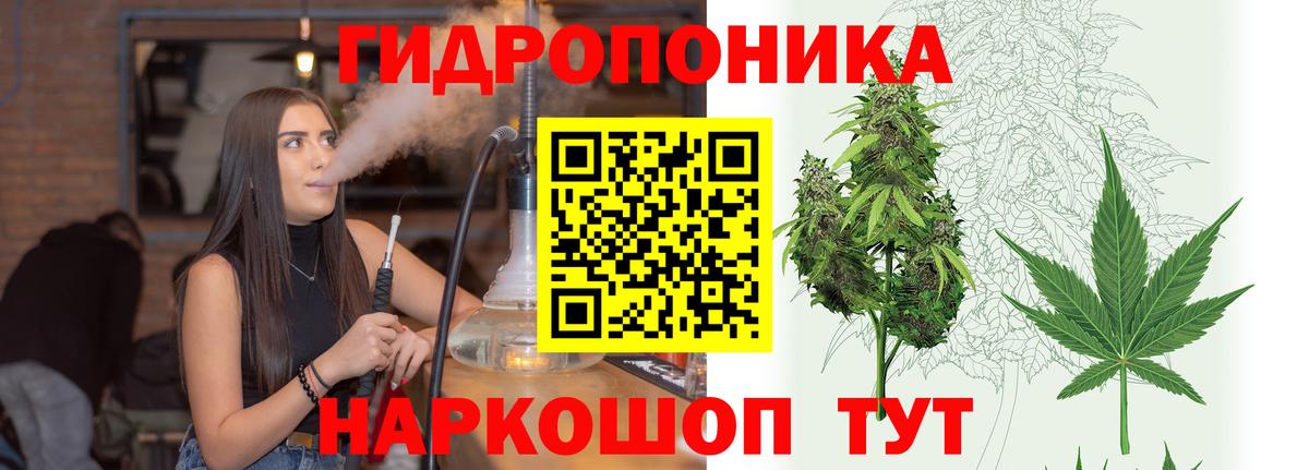 Конопля конопля Ейск